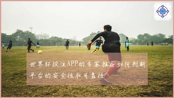 世界杯投注APP的专家推荐如何判断平台的安全性和可靠性