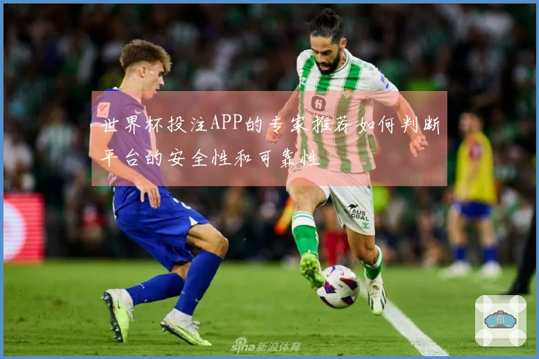 世界杯投注APP的专家推荐如何判断平台的安全性和可靠性