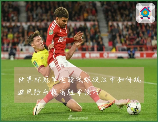世界杯冠军竞猜滚球投注中如何规避风险和提高胜率技巧
